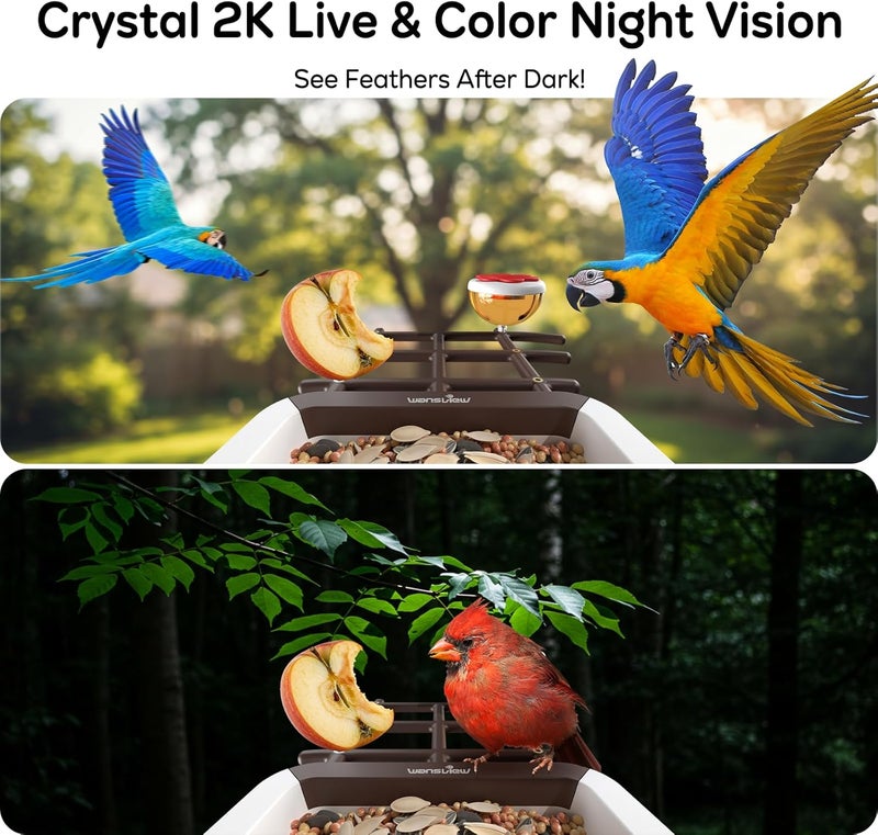 wansview Bird Feeder with Camera-Smart Bird Feeders for Outdoors Solar Powered, Birdhouse with Cam & Instant Alert, 2K Live Video, AI Identify Species, Ideal Gift for Tech Lovers, F1, Brown, 2.4G WiFi - Image 4